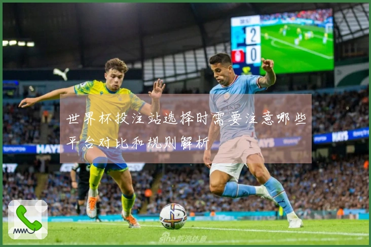 世界杯投注站选择时需要注意哪些平台对比和规则解析